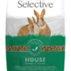 science-selective-house-rabbit-front