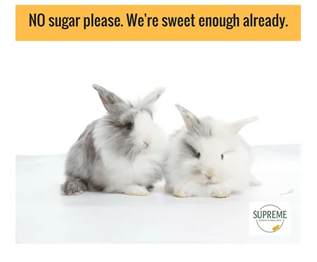 supreme-sugar-and-rabbits