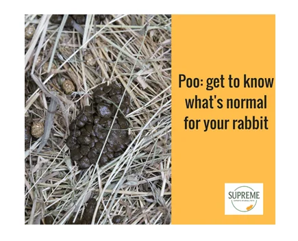 supreme-rabbit-poo